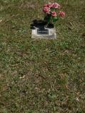 image of grave number 538527