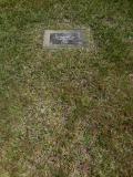 image of grave number 538542