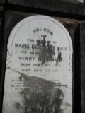 image of grave number 538545
