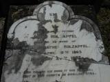 image of grave number 538553