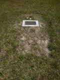 image of grave number 538561