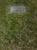 image of grave number 538563
