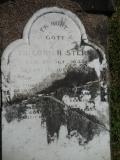 image of grave number 538567