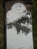 image of grave number 538567