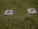 image of grave number 538576