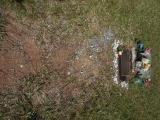 image of grave number 538583