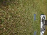 image of grave number 538596