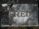 image of grave number 538599