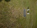 image of grave number 538649