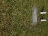 image of grave number 538650