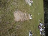 image of grave number 538654