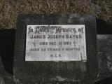 image of grave number 867939