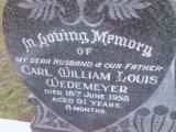image of grave number 309043