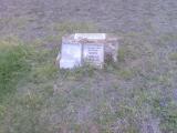 image of grave number 309055
