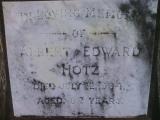 image of grave number 309071