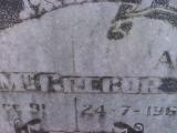 image of grave number 309074
