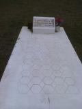 image of grave number 309092