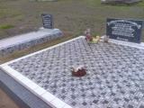 image of grave number 309102