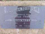 image of grave number 309106