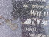 image of grave number 309111