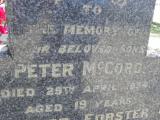 image of grave number 309140