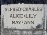 image of grave number 309146