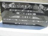 image of grave number 309157