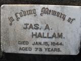 image of grave number 309528