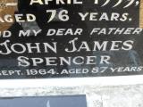 image of grave number 309557