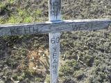 image of grave number 309568