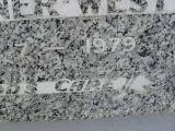 image of grave number 309569