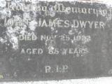 image of grave number 309626