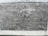 image of grave number 309628