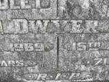 image of grave number 309628