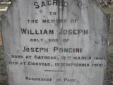 image of grave number 309647
