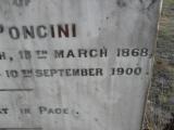 image of grave number 309647
