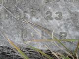 image of grave number 309649