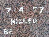 image of grave number 309686