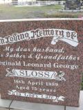 image of grave number 309690