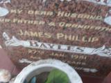 image of grave number 309696