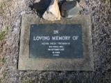 image of grave number 803098