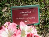 image of grave number 745972