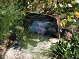 image of grave number 867654