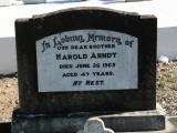 image of grave number 867699