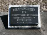 image of grave number 867743