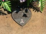 image of grave number 842802