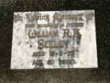 image of grave number 842804