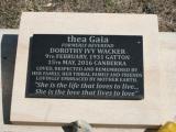image of grave number 842811