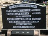 image of grave number 842823