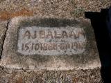 image of grave number 843094